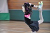 2014フェス