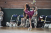 2013japan