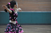 2013japan