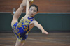 2013japan